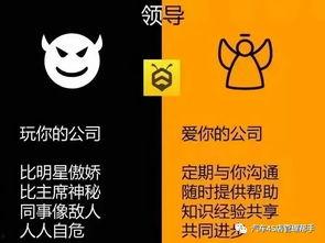 陪玩新闻爆料文案怎么写,新闻爆料背后的真实故事